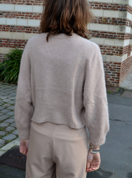 Pull Sable Baby Alpaga