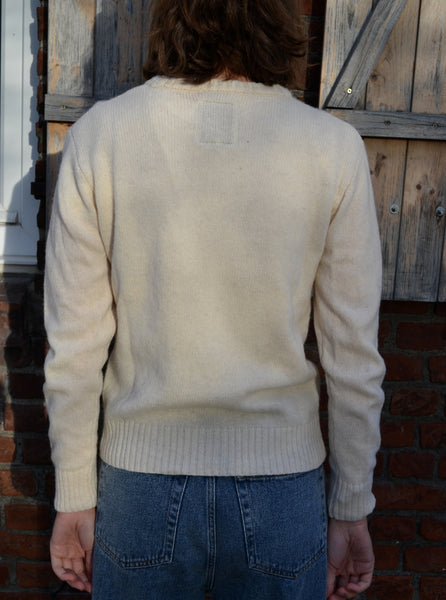 Pull en laine Shetlands Lambs